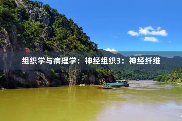 组织学与病理学：神经组织3：神经纤维