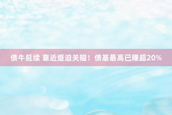 债牛延续 靠近蹙迫关隘！债基最高已赚超20%